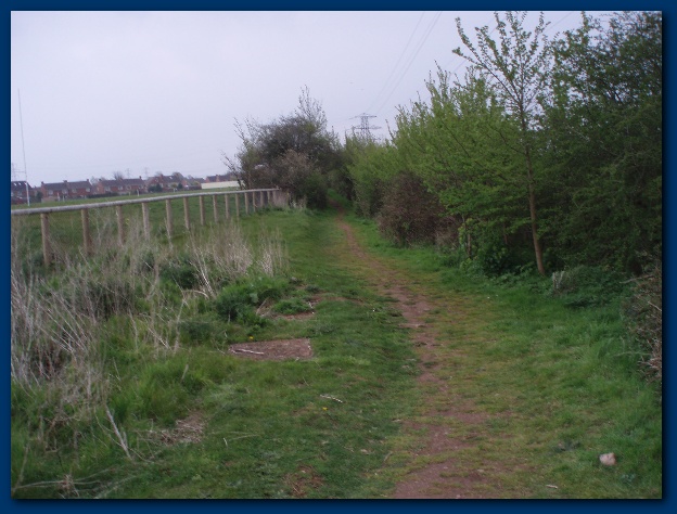 600x449 pixels (125K)